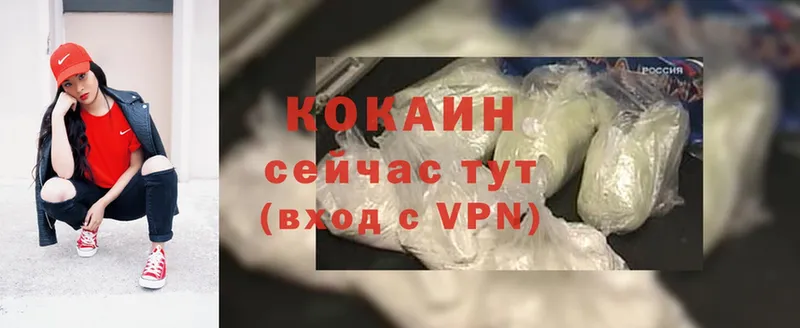 COCAIN Fish Scale  что такое   Канск 